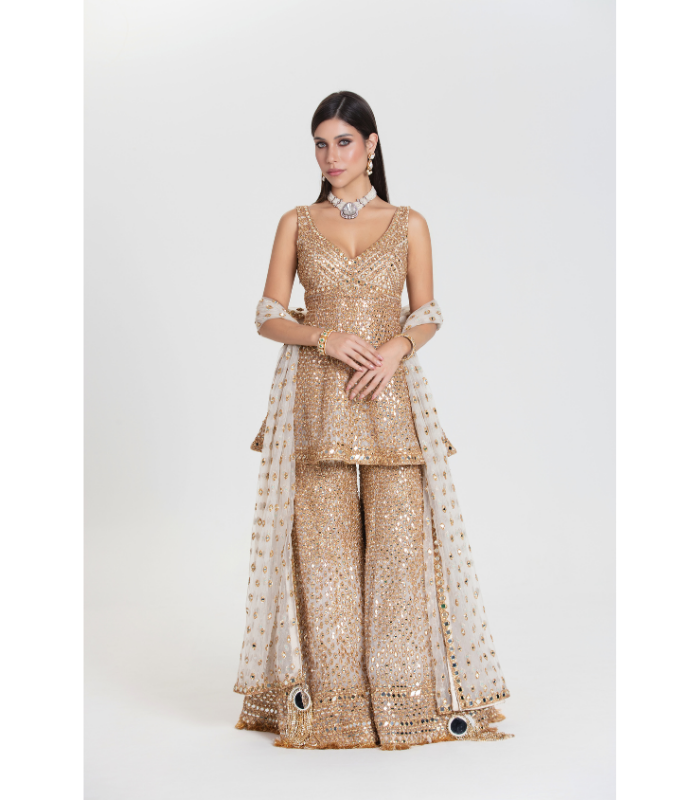 Salma Sitara Sharara Set