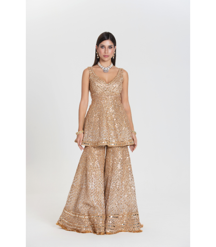 Salma Sitara Sharara Set