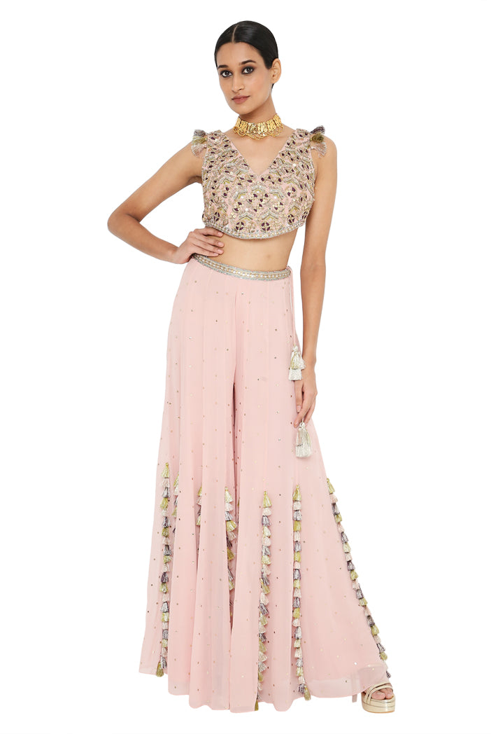 Payal Singhal Embroidered Choli With Sharara