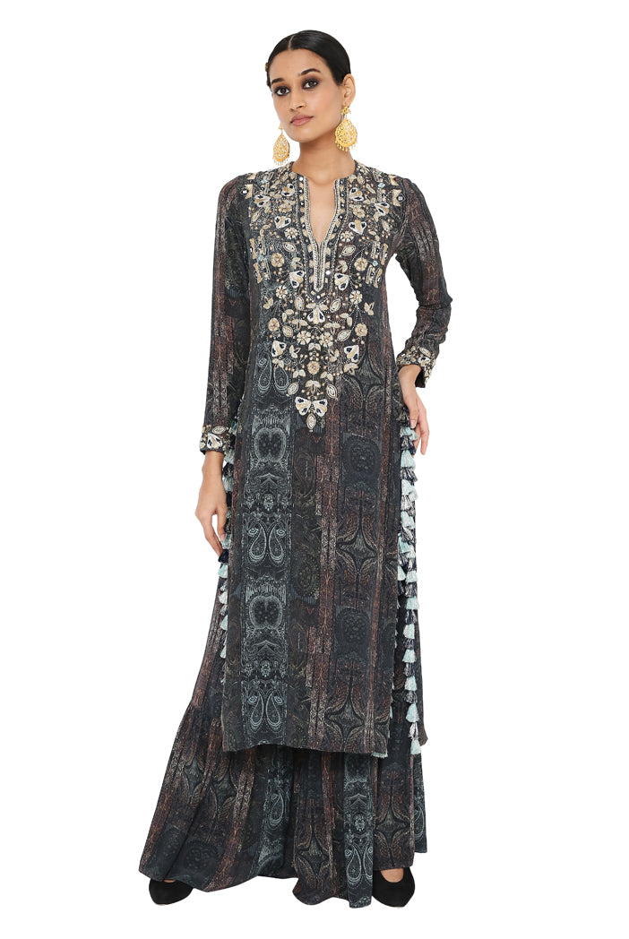 Payal Singhal Printed Embroidered Backless Kurta With Sharara