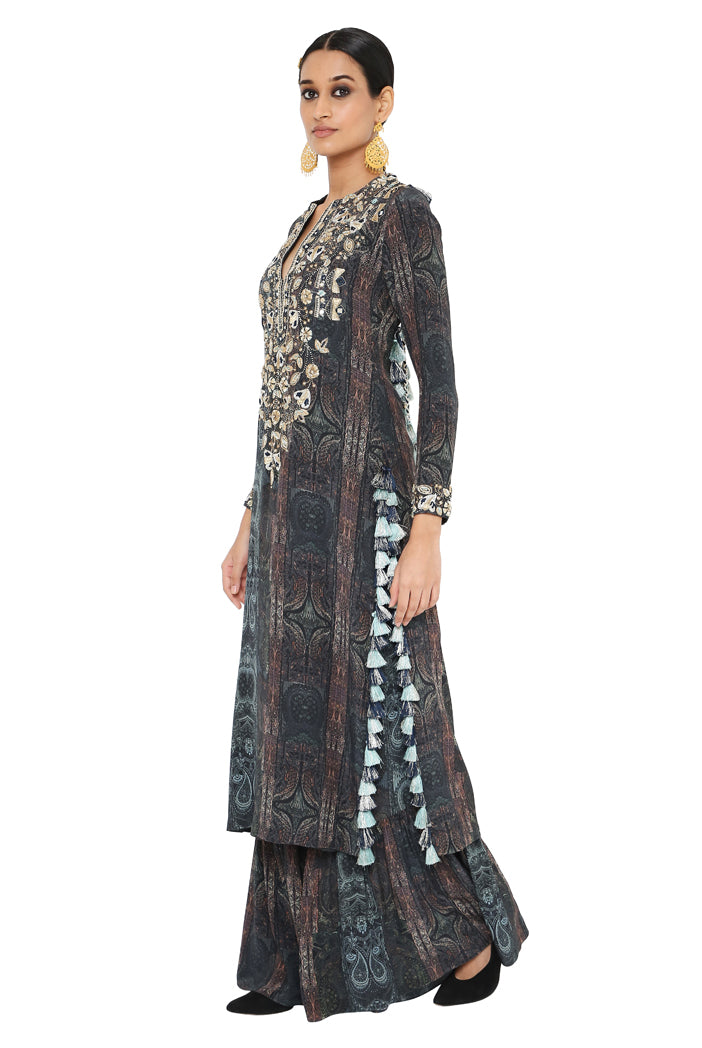 Payal Singhal Printed Embroidered Backless Kurta With Sharara