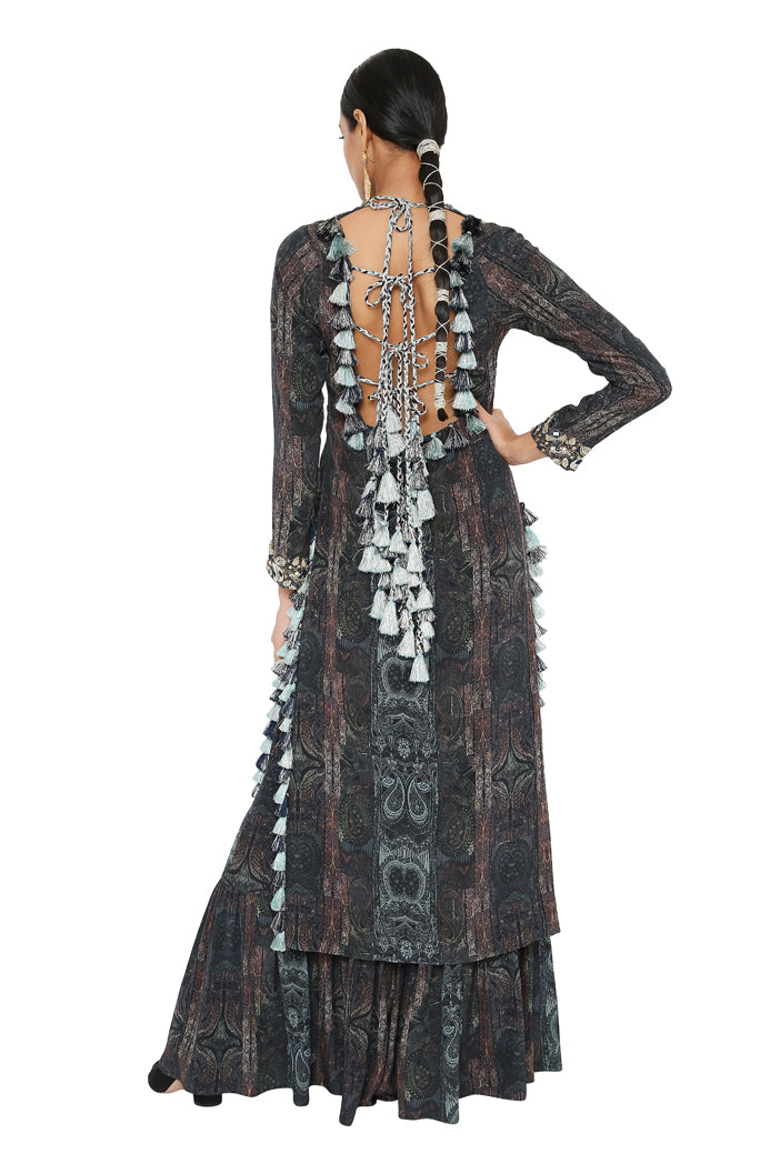 Payal Singhal Printed Embroidered Backless Kurta With Sharara
