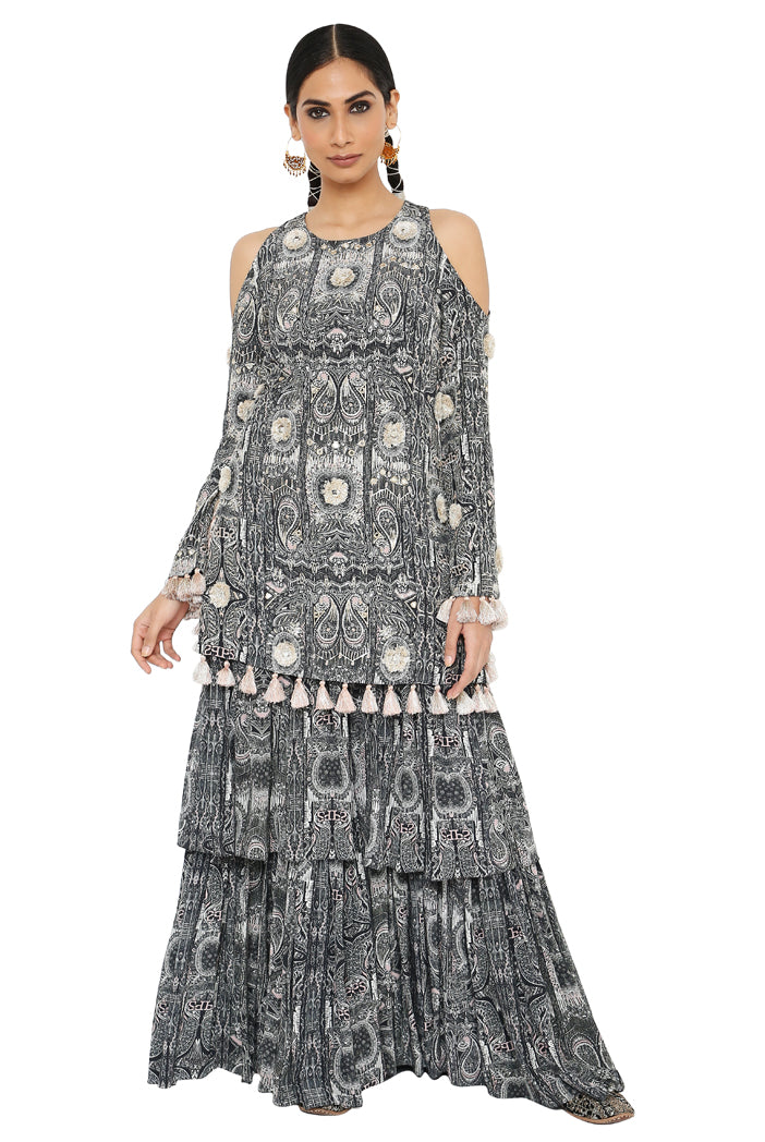Payal Singhal  Printed Embroidered Kurta With Sharara
