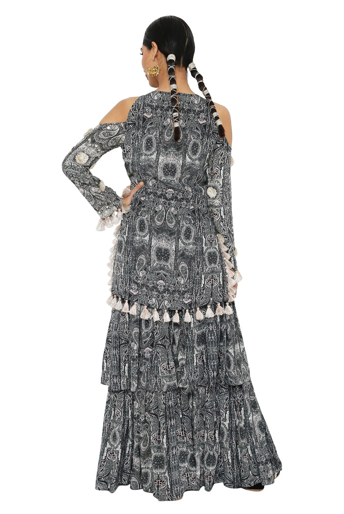 Payal Singhal  Printed Embroidered Kurta With Sharara