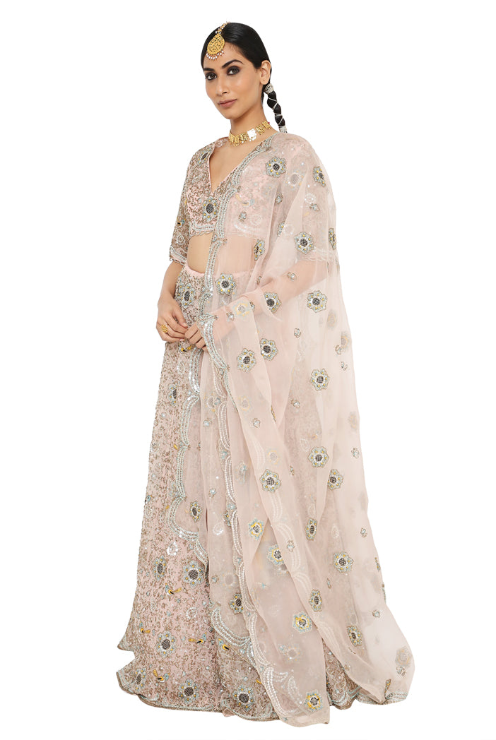Payal Singhal  Embroidered Organza Choli And Lehenga With Dupatta