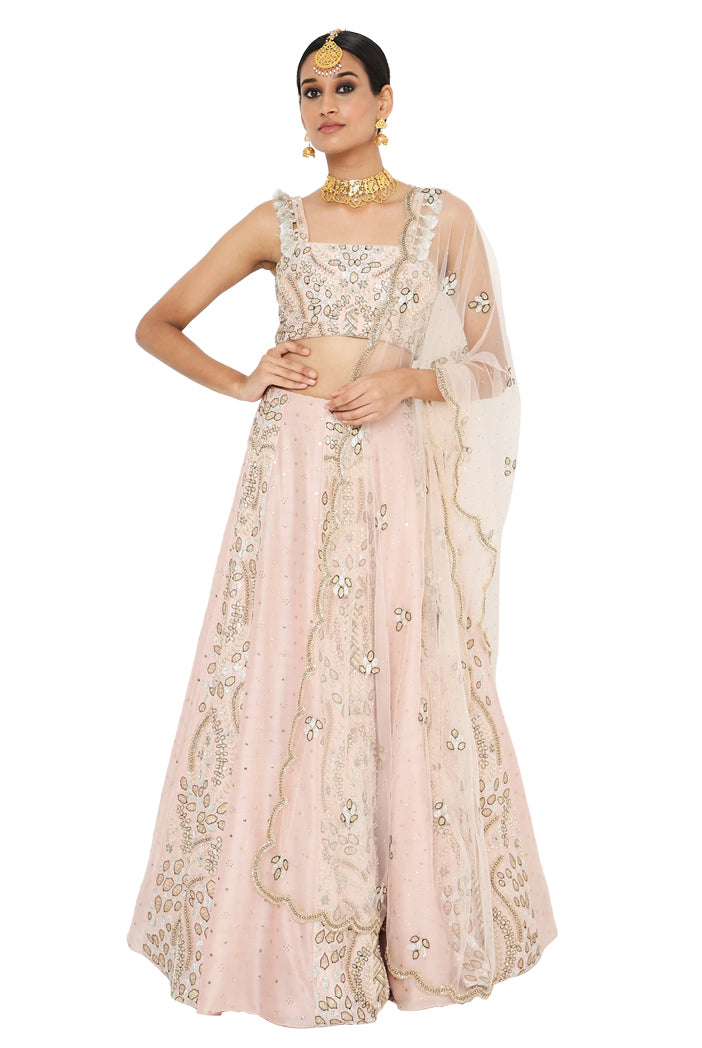 Payal Singhal Embroidered Choli With Lehenga And Net Embroidered Dupatta