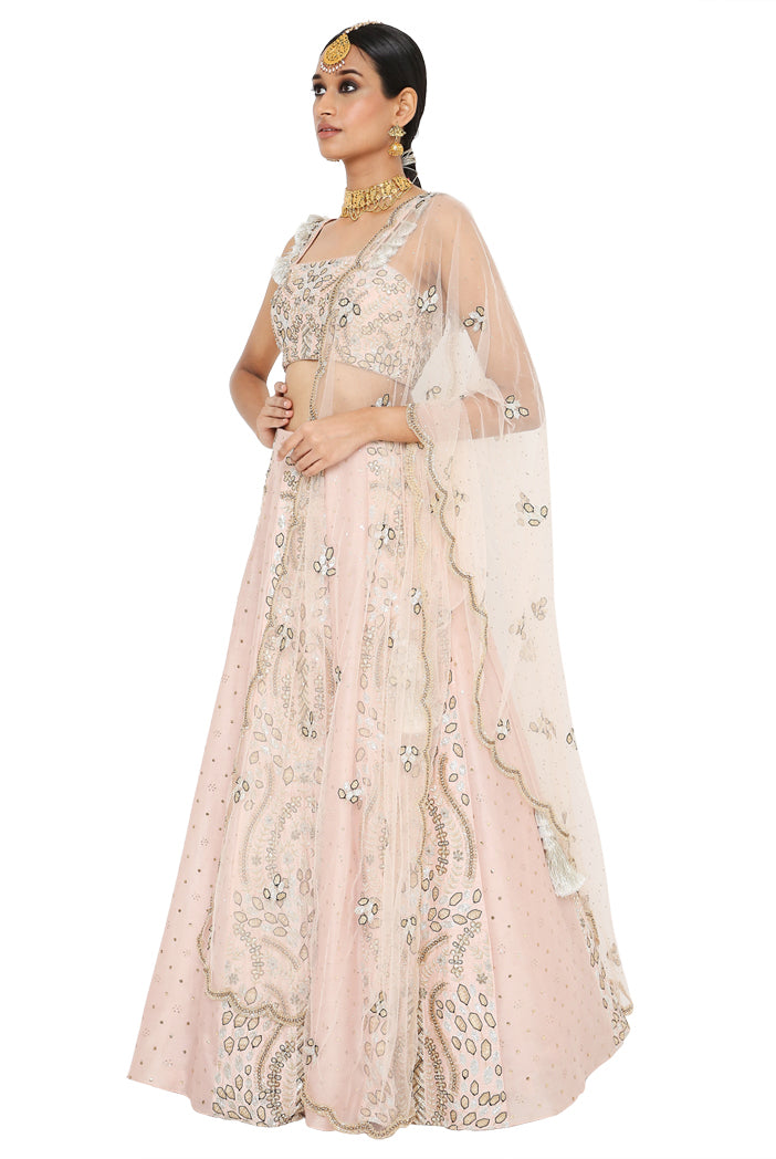 Payal Singhal Embroidered Choli With Lehenga And Net Embroidered Dupatta