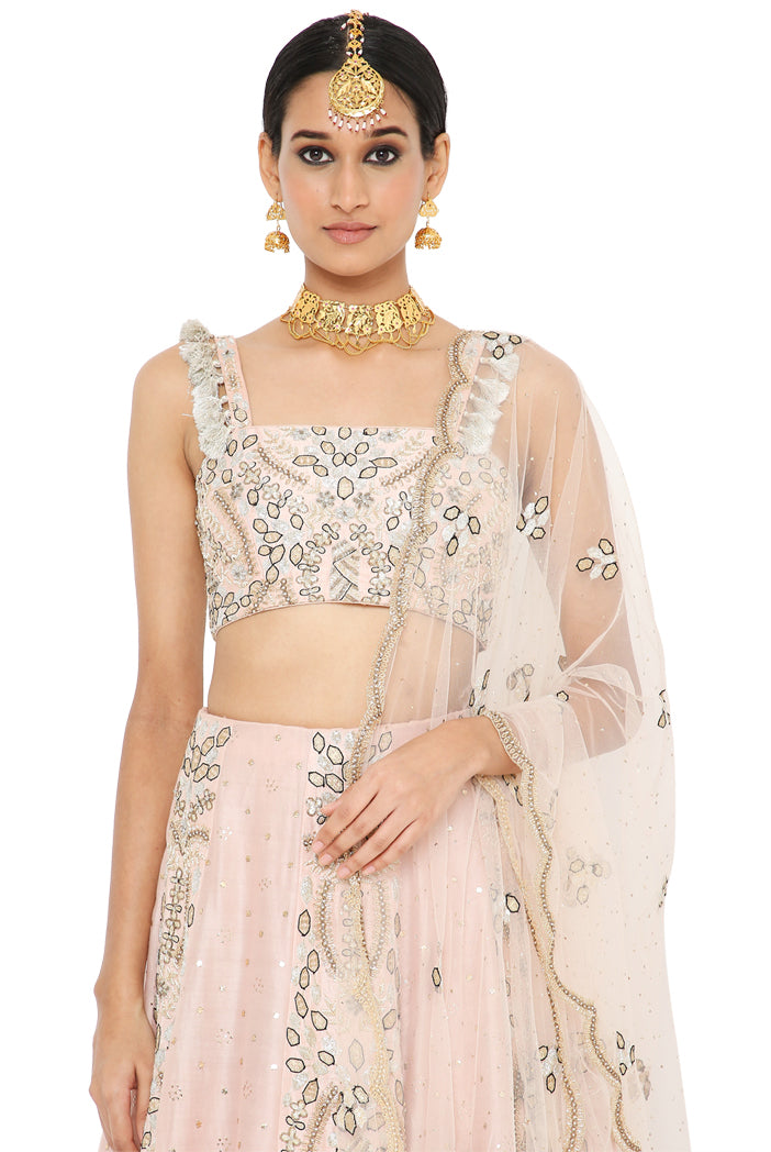 Payal Singhal Embroidered Choli With Lehenga And Net Embroidered Dupatta