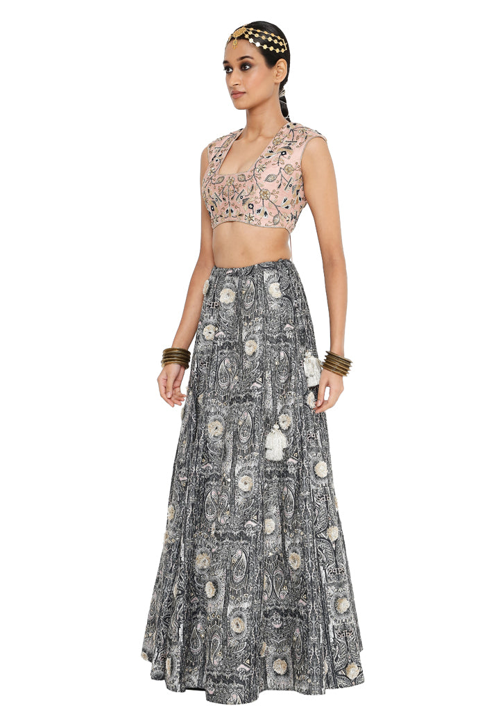 Payal Singhal Embroidered Choli With Printed Embroidered Lehenga