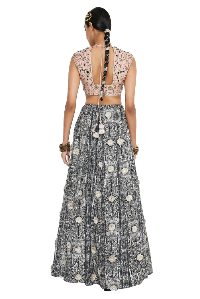 Payal Singhal Embroidered Choli With Printed Embroidered Lehenga