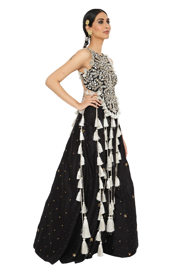 Payal Singhal Embroidered Choli With Lehenga