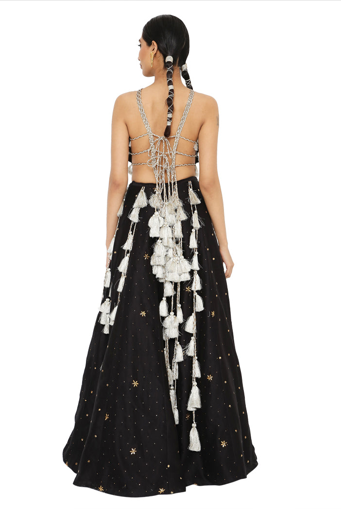 Payal Singhal Embroidered Choli With Lehenga