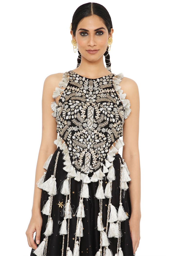 Payal Singhal Embroidered Choli With Lehenga