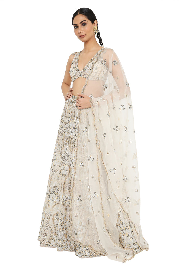 Payal Singhal Embroidered Choli With Lehenga And Dupatta