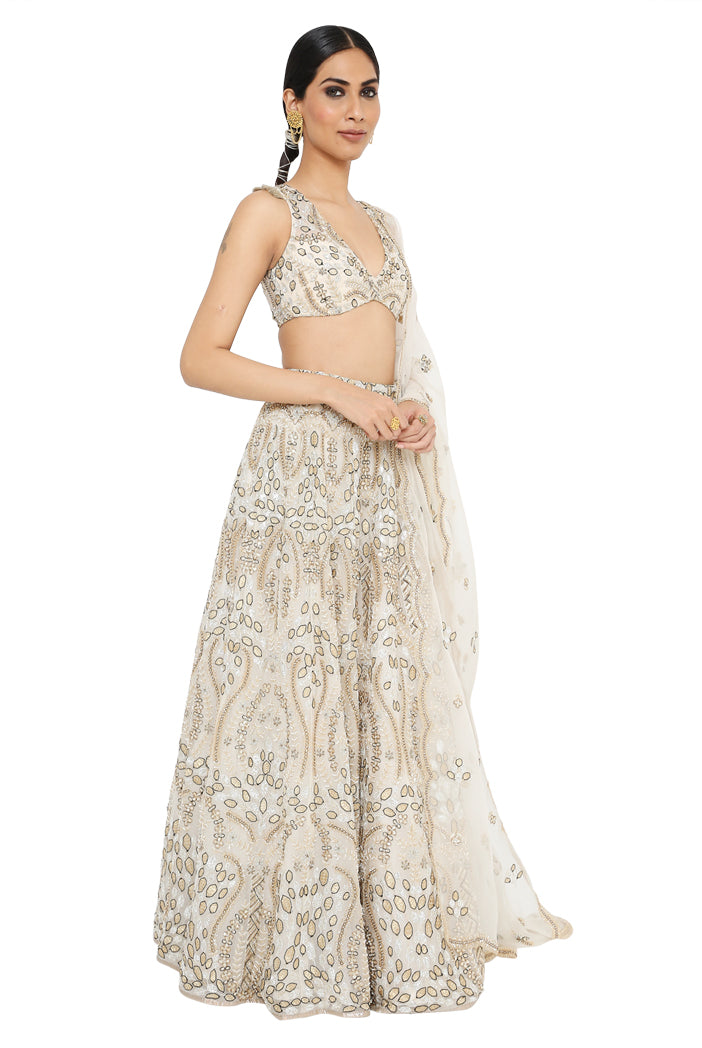 Payal Singhal Embroidered Choli With Lehenga And Dupatta