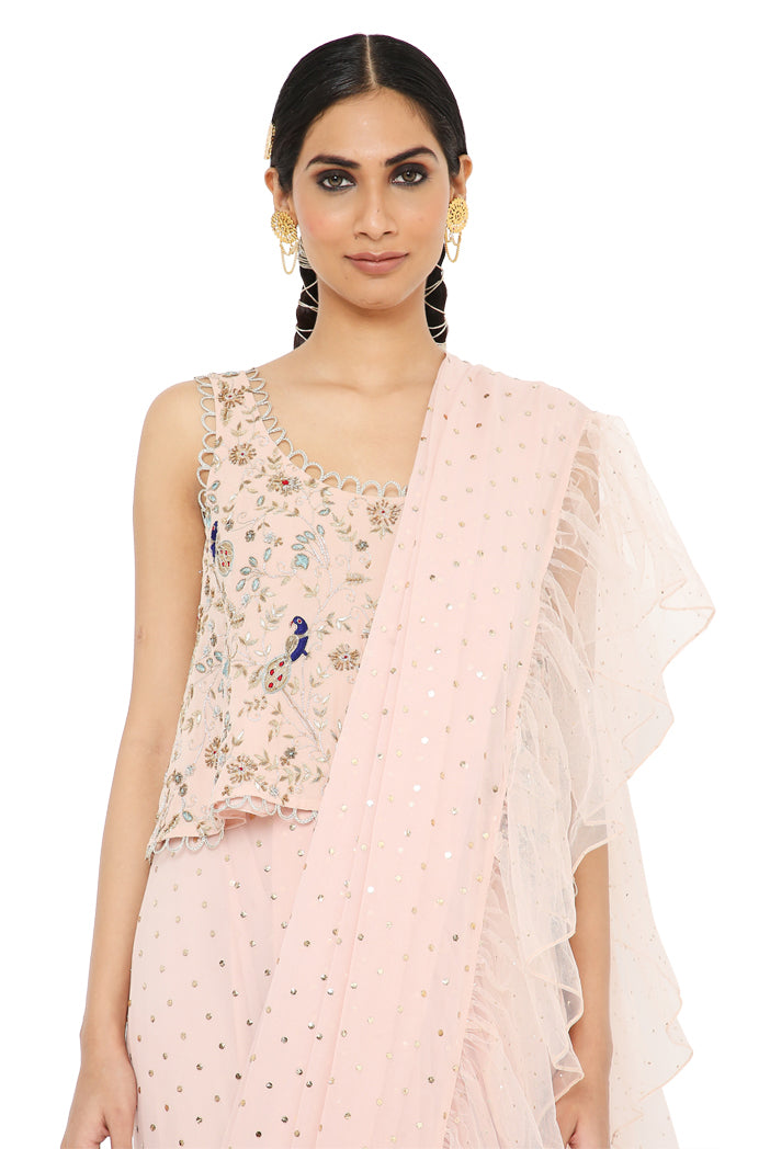 Payal Singhal Embroidered Choli With Pre Stitched Saree