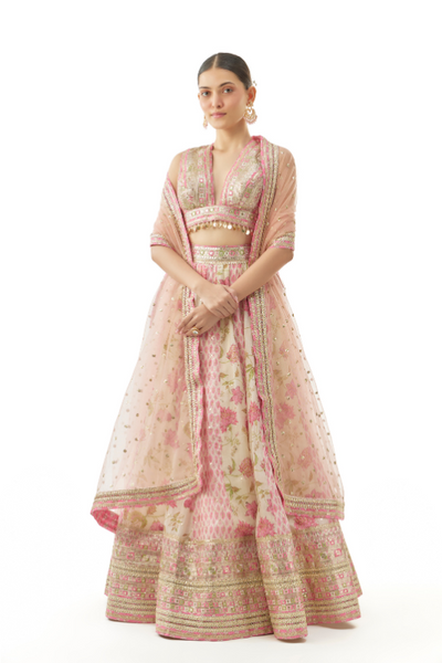 devyani lehenga set - The Grand Trunk