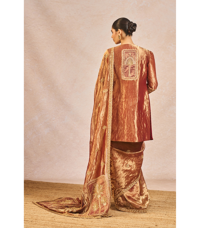 'Zard Sitara' Saree ( with Jacket )