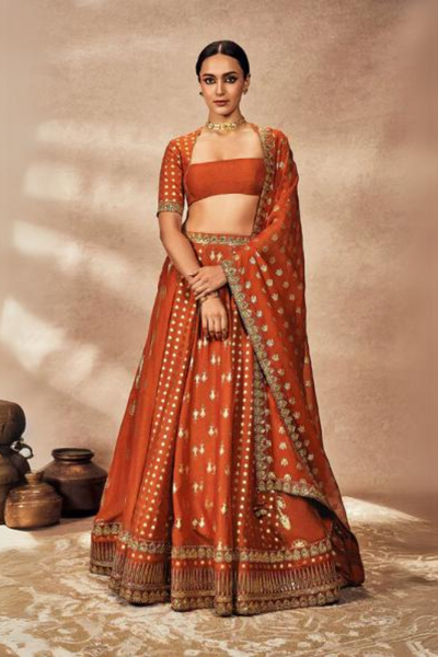 Rust Foil Lehenga Set - The Grand Trunk