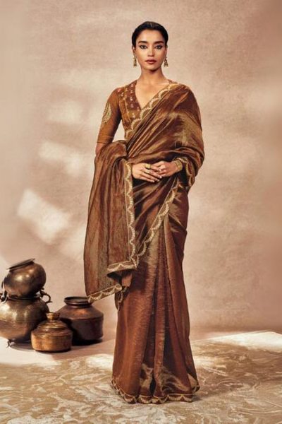 Brown Madakal Tissue Saree - The Grand Trunk