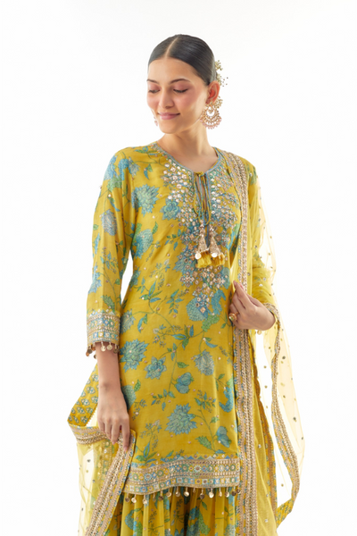 Niyati Sharara Set - The Grand Trunk