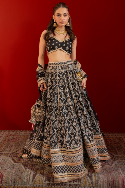 Mulmul Bemberg Silk Anton Black Lehenga - The Grand Trunk