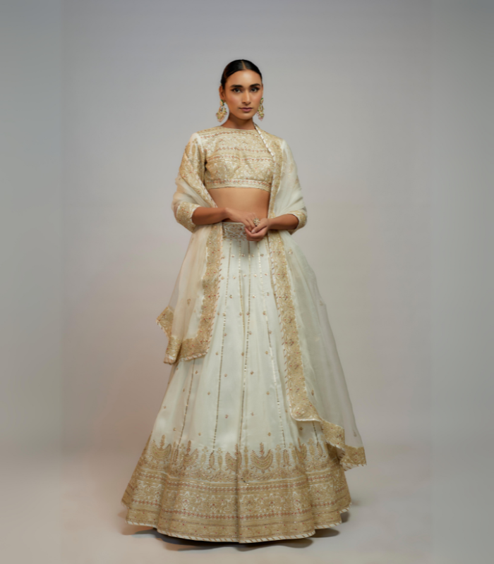 Golconda Naima lehenga set