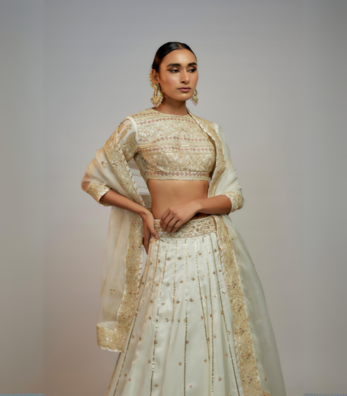 Golconda Naima lehenga set