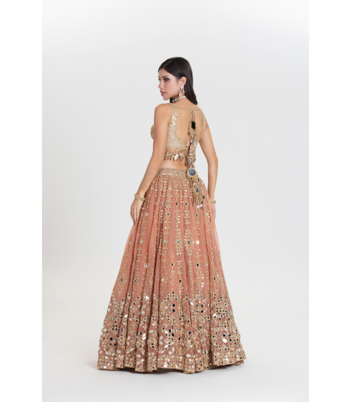 Old Charm Abhinav Lehenga