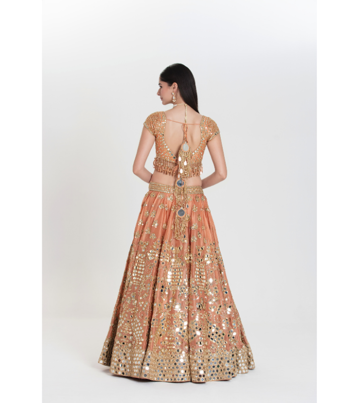 Bahar Abhinav Lehenga Set