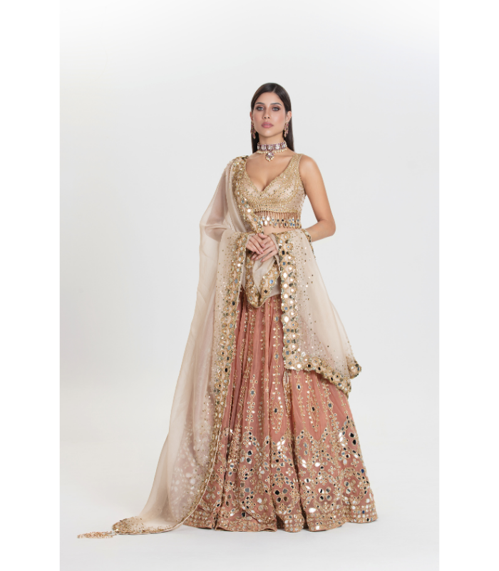 Old Charm Abhinav Lehenga