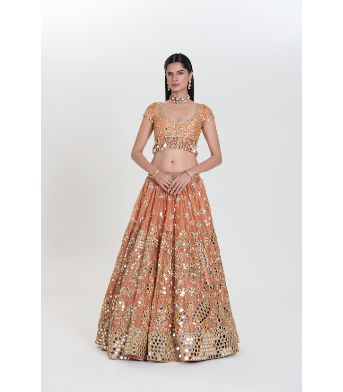 Bahar Abhinav Lehenga Set