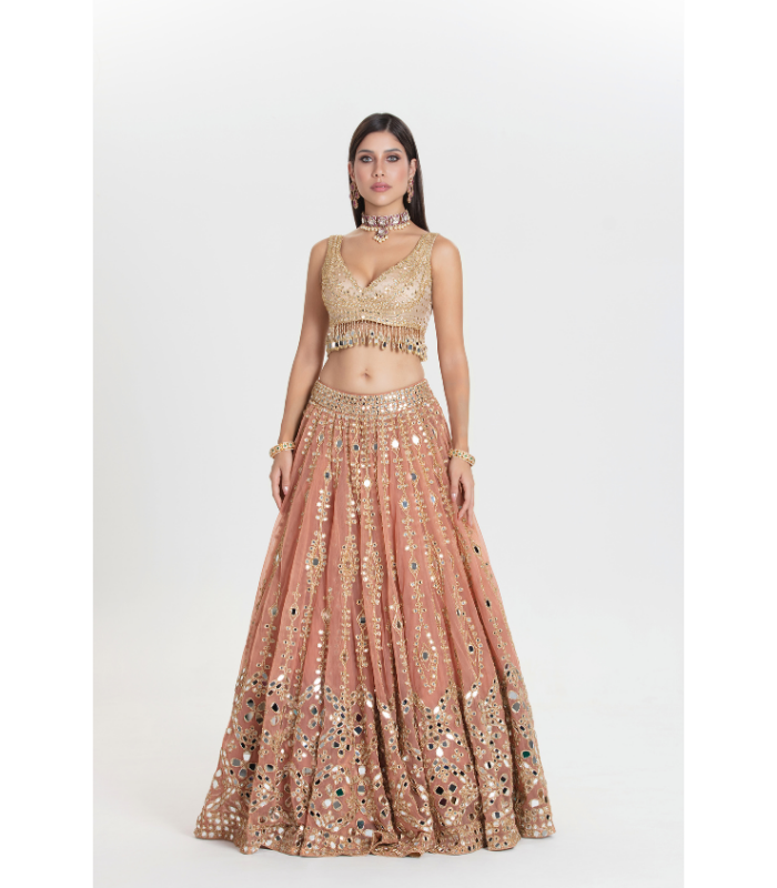 Old Charm Abhinav Lehenga