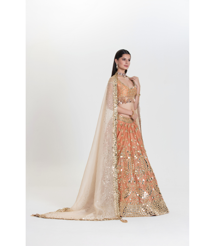 Bahar Abhinav Lehenga Set