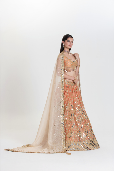 Bahar Abhinav Lehenga Set - The Grand Trunk