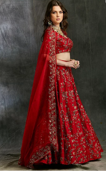 Astha Narang Red Floral Jaal Zari Lehenga