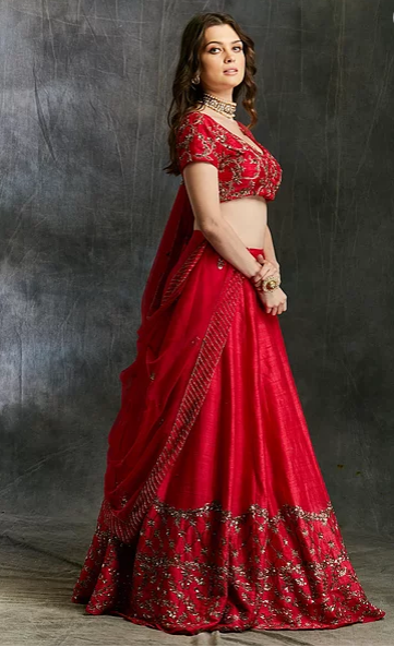 Astha Narang Dark Pink And Gold Lehenga With Choli