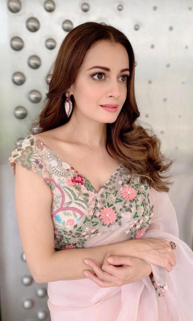 Diamirza In Anamika Khanna Saree