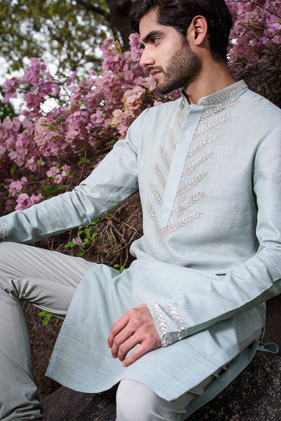 Powder Blue Silk Kurta with embroidery - The Grand Trunk