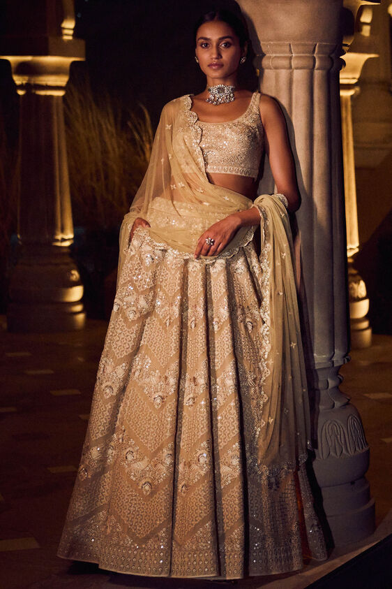 Pranayi Lehenga - Nude - The Grand Trunk