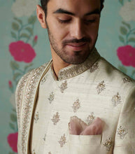 Load image into Gallery viewer, Anushree Reddy - zardozi buti embroidered sherwai set - The Grand Trunk