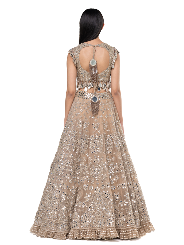 Abhinav Mishra Moon Grey Embellished lehenga set - The Grand Trunk