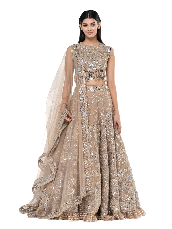 Abhinav Mishra Moon Grey Embellished lehenga set - The Grand Trunk