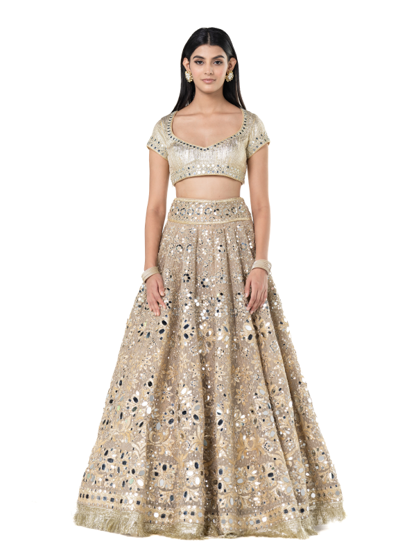 Abhinav Mishra Beige Golden lehenga set - The Grand Trunk