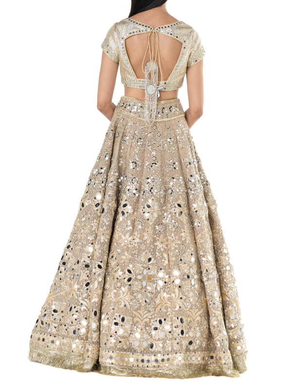 Abhinav Mishra Beige Golden lehenga set - The Grand Trunk