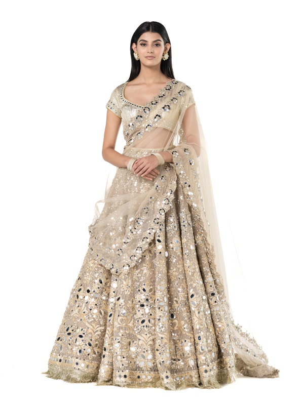 Abhinav Mishra Beige Golden lehenga set - The Grand Trunk