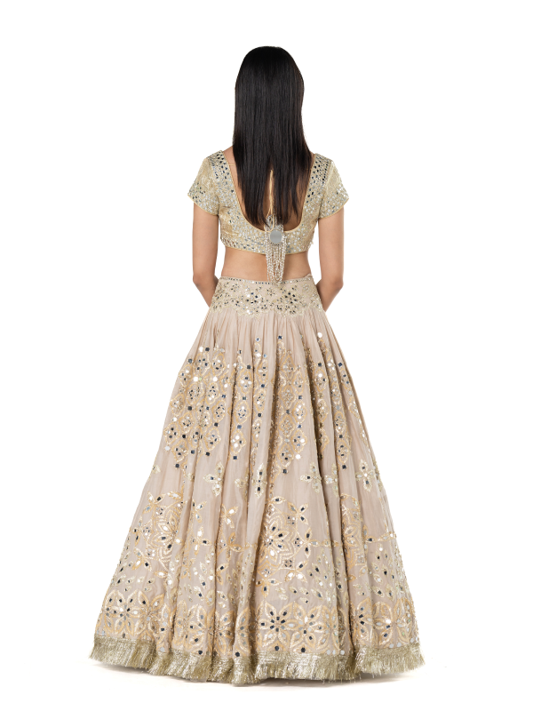 Abhinav Mishra Beige lehenga set - The Grand Trunk