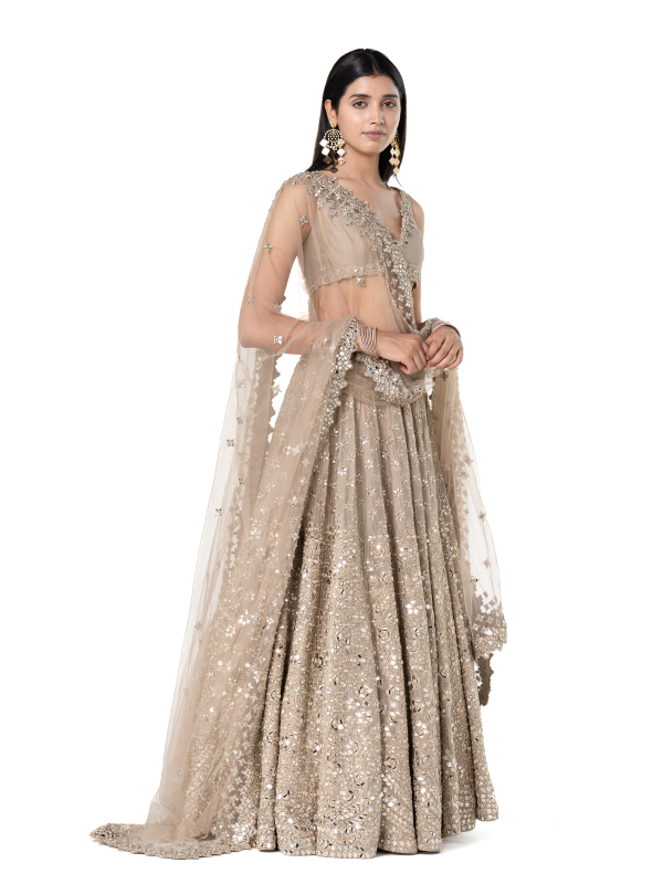 Abhinav Mishra Moon Grey Embellished lehenga set - The Grand Trunk