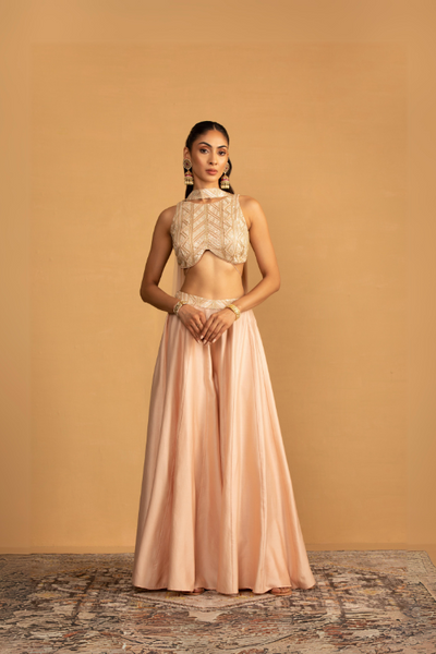 Peach Sharara Set - The Grand Trunk