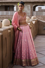 Load image into Gallery viewer, Nura Lehenga - Blush - The Grand Trunk